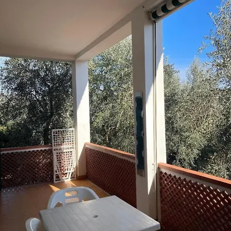 Apartment Margherita *