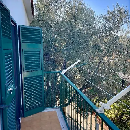 Margherita